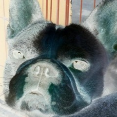 Need You Bosx1ne JRoa Skusta Clee Emcee Rhenn Flow G Bullet D & Kent MNL『 Slowed And Reverved 』