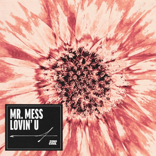 Mr. Mess - Lovin' U