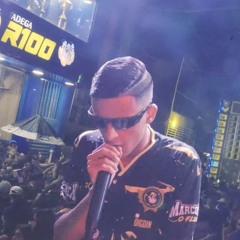 MOSTRA QUE É PROFISSIONAL - MC DELUX e DIGDIN (MP3_160K).mp3