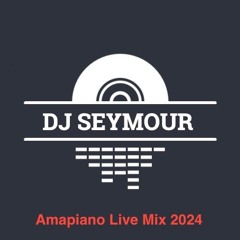 Amapiano Live Mixtape 2024