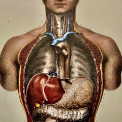 in the hearts of men - 12/11/20, 11.19 AM