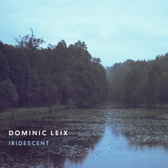 Dominic Leix - Iridescent