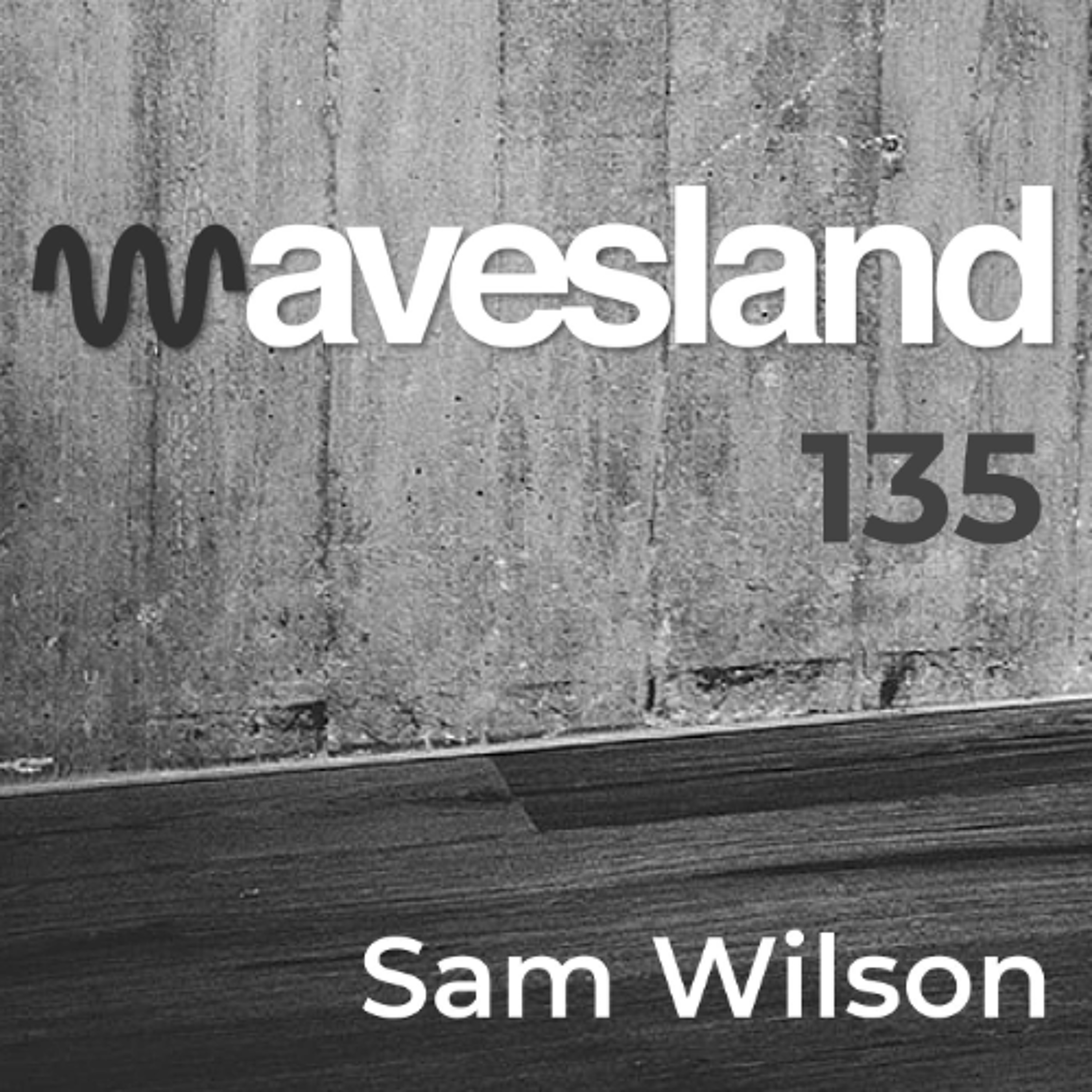 Wavesland 135 - Sam Wilson episode artwork