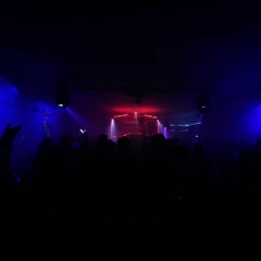 Karotte Kultur  SEP__TUN