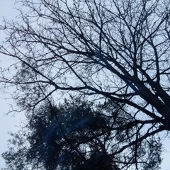 Scared of heights... (Lost Track) 2023