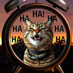 Time Is Just a Cosmic Joke