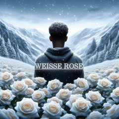 WEISSE ROSE