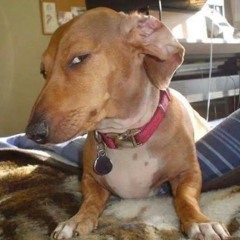 I Miss The Quiet Prince of Egypt.mp3