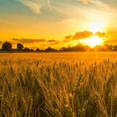 Apres le soleil le beau temps