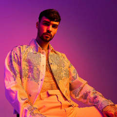 ADONXS o skladbe - Kiss kiss goodbye