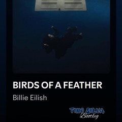 Birds Of A Feather - Billie Eilish (TINO SILVA Bootleg) AFROHOUSE