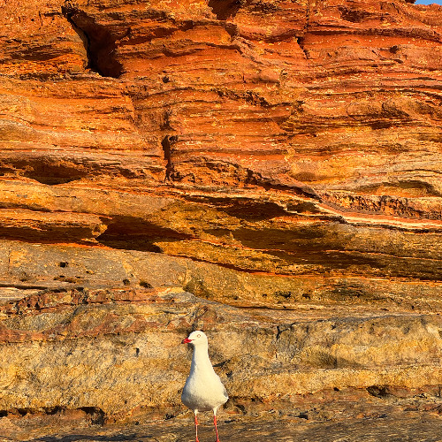 You Pull, I Push (Techno)