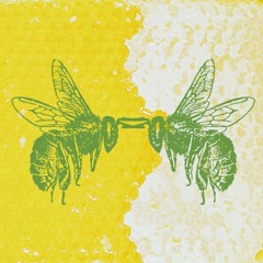 Bee Kampe
