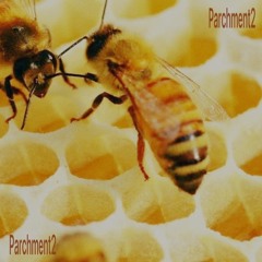 Parchment2 ｰEPｰ