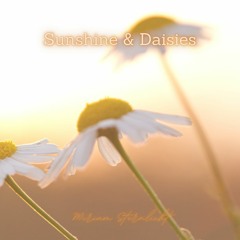 Sunshine & Daisies