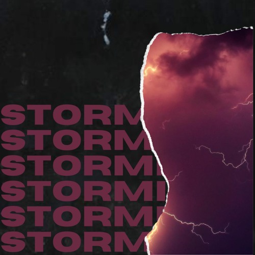 "STORMI" LOTUS HILL CLIQUE X HERRO