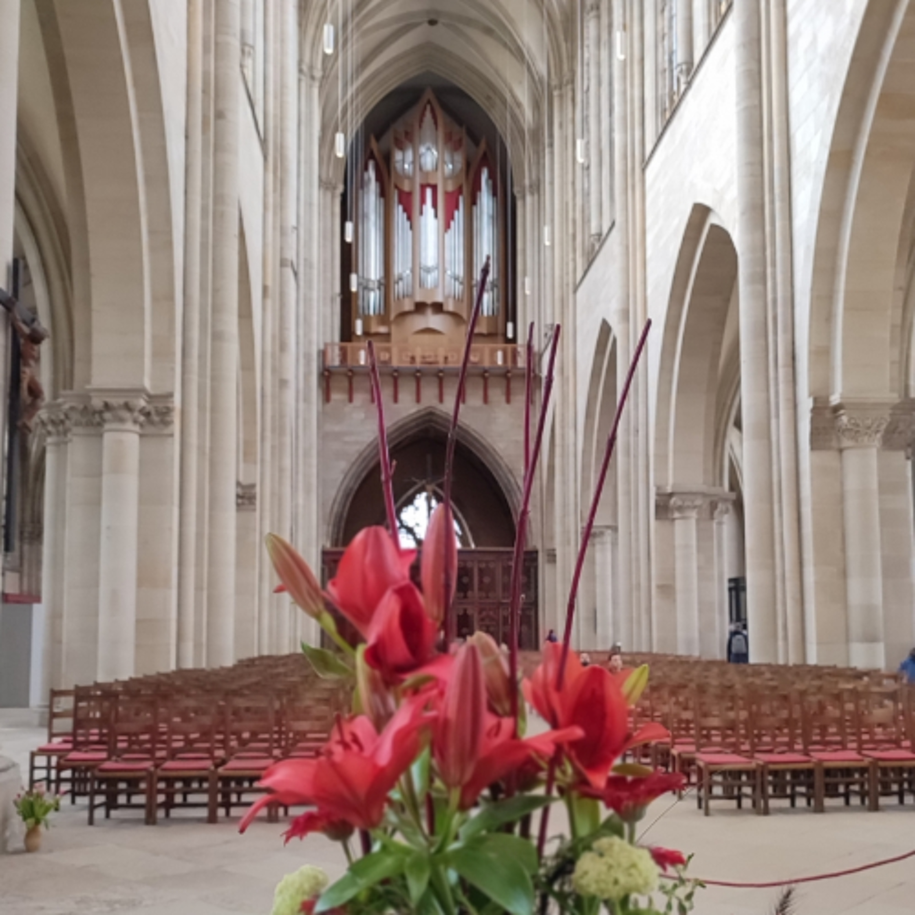 Jahresrückblick 2025: Internationale Begeisterung für Sachsen-Anhalts Orgeln