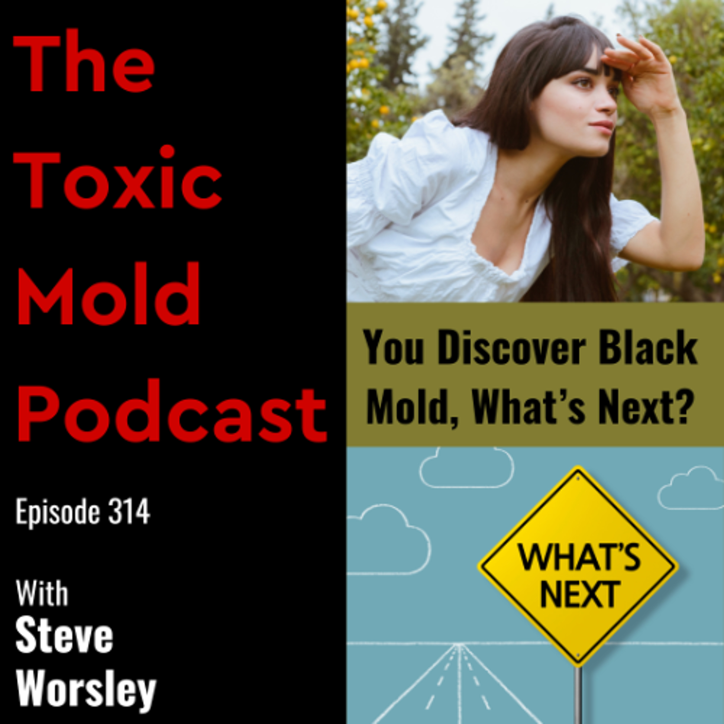 EP 314: You Discover Black Mold, What's Next?