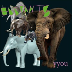 yyou - (inner)elephants