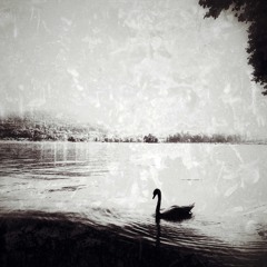 Echoes