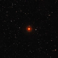 bleed out re star / if i killed myself would i be reborn as a star (prod. clysm)