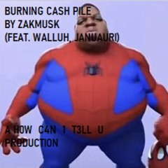 Burning Cash Pile