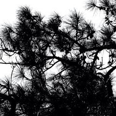 ᗩᖇT ᑕᒪᗩᔕᔕ ᗯEᗪᑎEᔕᗪᗩY