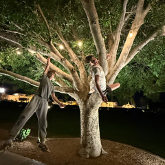 Jonathan_ A biblical Bridge Figure-3