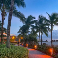 Best Things To Do On Marco Island In Florida Tours Reviews