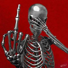COOK3D FREESTYLE