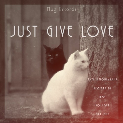 Tayr Anour & RAiK - Just Give Love (Original Mix)