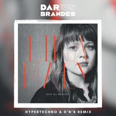 Lina Maly - Als du gingst (Das was du bist) (Darius Brandes Remix)
