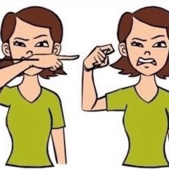 Flex Coast *Dimitrious*