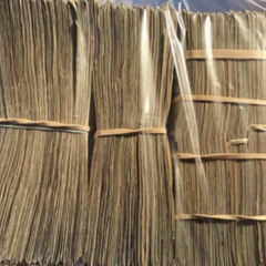 *2021 SNIPPET* proud (prod. srrybouturshoes & feelingplugg)