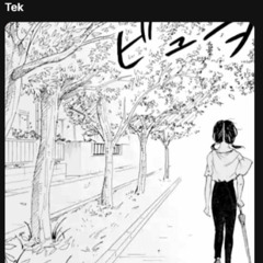 Tek