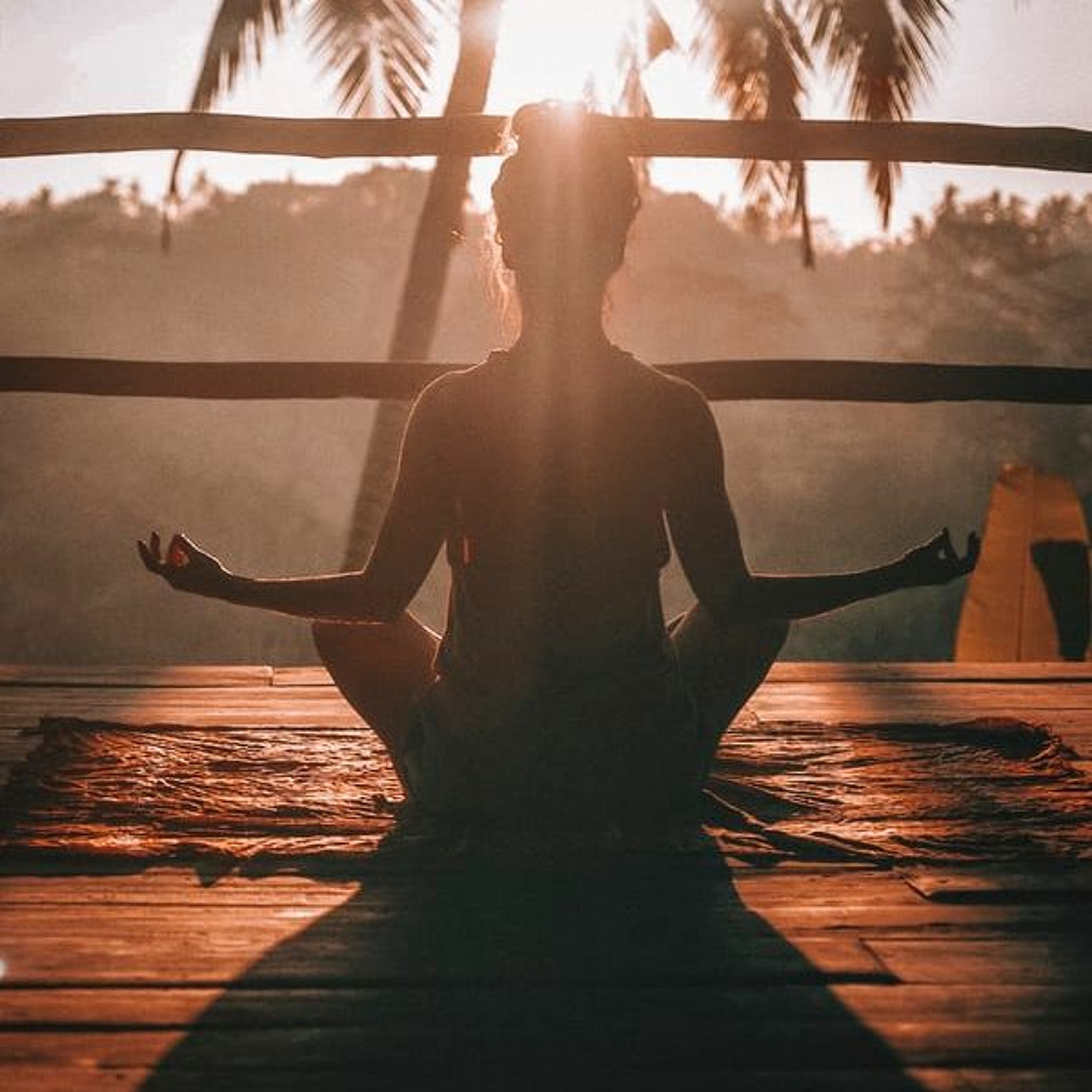 BROJO: Confidence. Clarity. Connection.