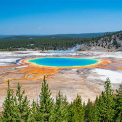 Best Of Yellowstone Natl Park Tour From Paradise Valley Tours Reviews