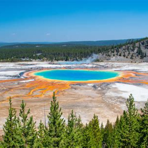 Best Of Yellowstone Natl Park Tour From Paradise Valley Tours Reviews