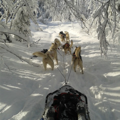 Enfantines XIII : Balade en traineau