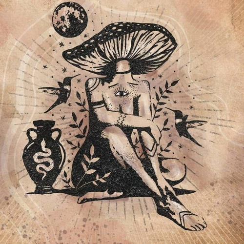 Mr Relax by Fluctuum