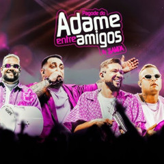 Pagode do Adame - Entre Amigos In Sampa I Vol.1