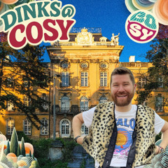 DINKS @ Cosy Festival 2025
