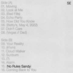 (No Rules Sandy)