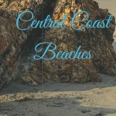 Read KINDLE 💔 Central Coast Beaches: 2023 Calendar & Planner by  Dr. Janine Williams