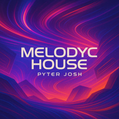 MELODYC HOUSE 1.1