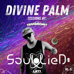 DIVINE PALM SESSIONS VOL. 15 / SOUL LIED