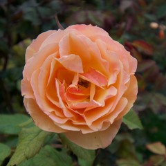 18 June 2024 RNB SMOOV HITS MIX NEW TYPE