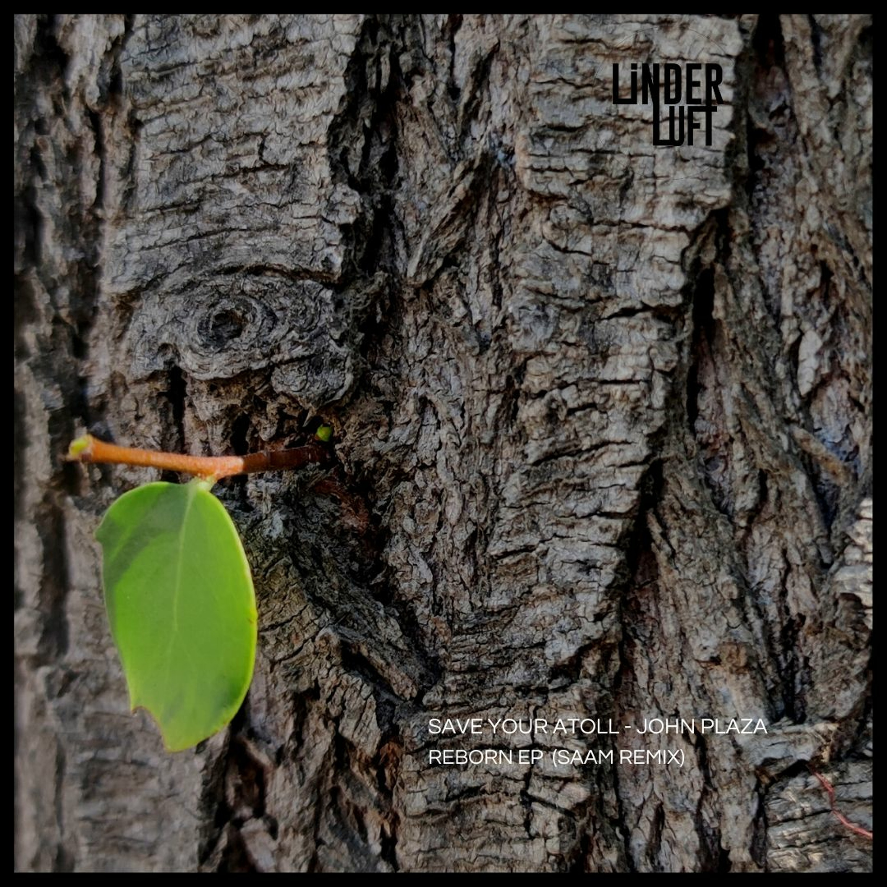 Out Now: Save Your Atoll & John Plaza — Falls [Linderluft Records] episode artwork
