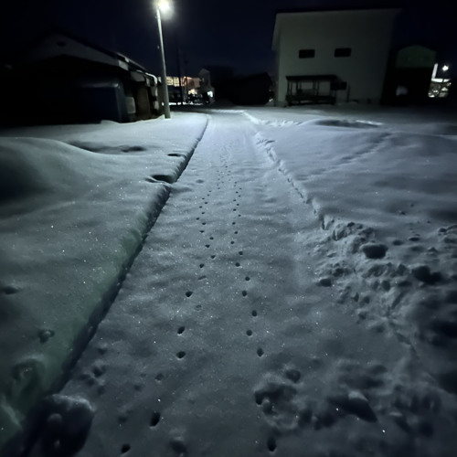 coldtown