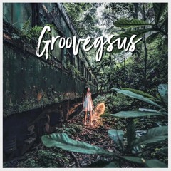 Groovegsus - Promo Mix 2022 11 Organic house